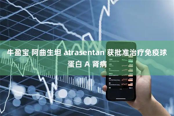 牛盈宝 阿曲生坦 atrasentan 获批准治疗免疫球蛋白 A 肾病