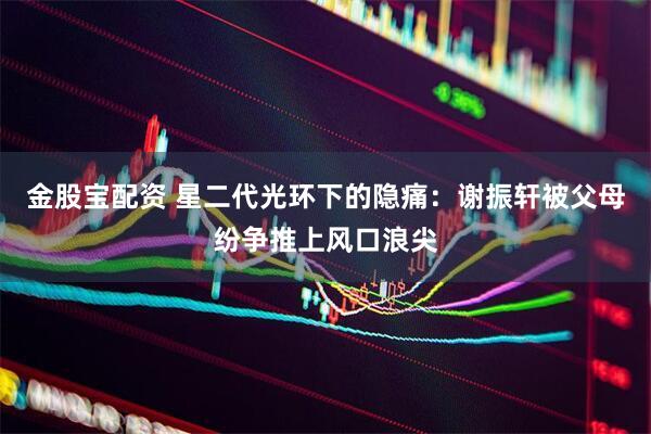 金股宝配资 星二代光环下的隐痛：谢振轩被父母纷争推上风口浪尖