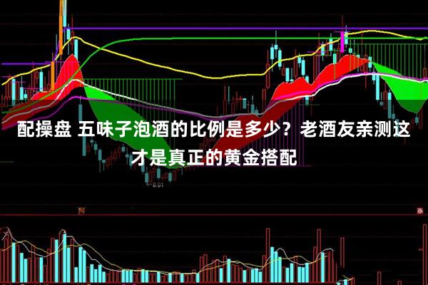 配操盘 五味子泡酒的比例是多少？老酒友亲测这才是真正的黄金搭配