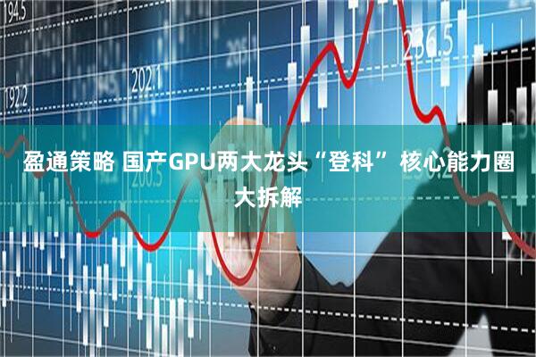 盈通策略 国产GPU两大龙头“登科” 核心能力圈大拆解