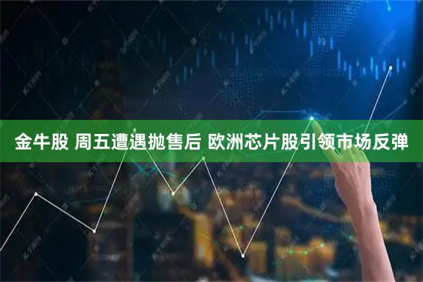 金牛股 周五遭遇抛售后 欧洲芯片股引领市场反弹
